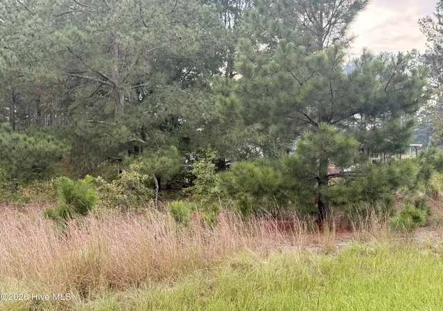 Photo 3 of Land for sale at 1284 Windblow Rd, Jackson Springs, NC 27281 | MLS# 100599813 | Listing updated on 2026-08-29