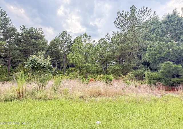 Photo 4 of Land for sale at 1284 Windblow Rd, Jackson Springs, NC 27281 | MLS# 100599813 | Listing updated on 2026-08-29