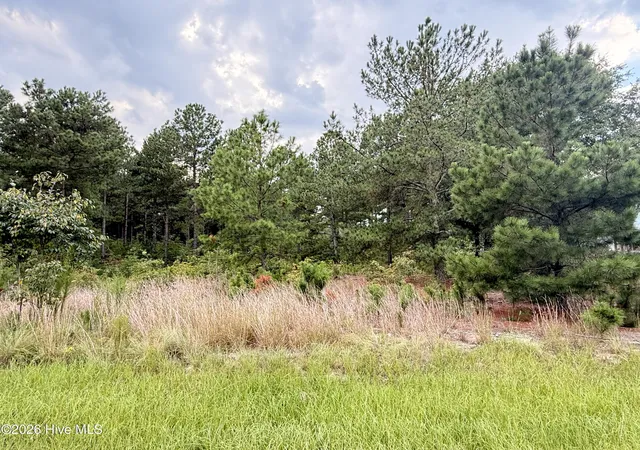 Photo 5 of Land for sale at 1284 Windblow Rd, Jackson Springs, NC 27281 | MLS# 100599813 | Listing updated on 2026-08-29