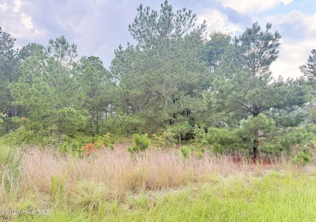 Photo 6 of Land for sale at 1284 Windblow Rd, Jackson Springs, NC 27281 | MLS# 100599813 | Listing updated on 2026-08-29