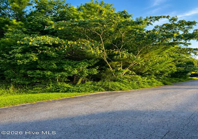 Photo 3 of Land for sale at 114 Cherrybark Dr, Jacksonville, NC 28540 | MLS# 100600269 | Listing updated on 2026-09-03
