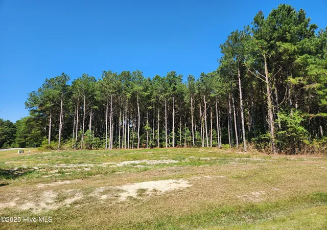 2nd image of 273 Riversound Dr, Edenton, NC 27932 | MLS# 100532573