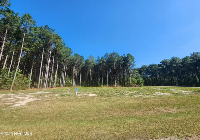 4th image of 273 Riversound Dr, Edenton, NC 27932 | MLS# 100532573