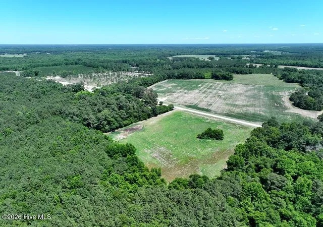 Photo 3 of Land for sale at Tbd Sand Rock Rd, Fairmont, NC 28340 | MLS# 100577225 | Listing updated on 2026-09-03