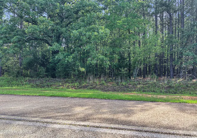 1st image of 1048 Clinton Williams Rd, Lincolnton, GA 30817 | MLS# 100577793