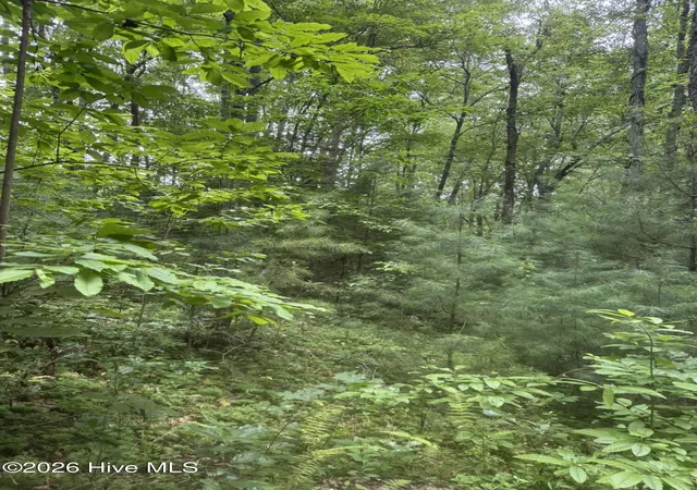 Photo 1 of Land for sale at 12,13 Camp Crk Ests Dr, Murphy, NC 28906 | MLS# 100595374 | Listing updated on 2026-08-11