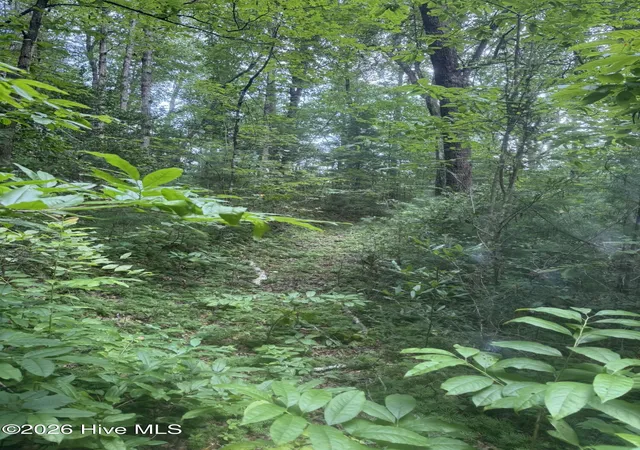 Photo 24 of Land for sale at 12,13 Camp Crk Ests Dr, Murphy, NC 28906 | MLS# 100595374 | Listing updated on 2026-08-11