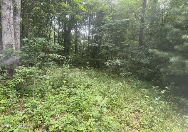 Photo 2 of Land for sale at 12,13 Camp Crk Ests Dr, Murphy, NC 28906 | MLS# 100595374 | Listing updated on 2026-08-11