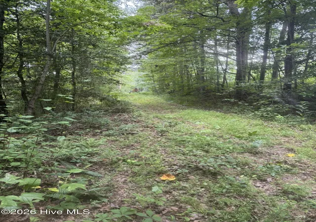 Photo 3 of Land for sale at 12,13 Camp Crk Ests Dr, Murphy, NC 28906 | MLS# 100595374 | Listing updated on 2026-08-11
