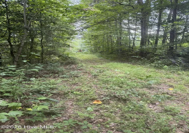 Photo 4 of Land for sale at 12,13 Camp Crk Ests Dr, Murphy, NC 28906 | MLS# 100595374 | Listing updated on 2026-08-11