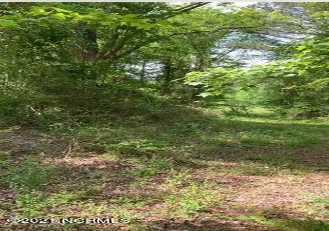 Photo 1 of Land for sale at Tbd W Hamlet Ave, Hamlet, NC 28345 | MLS# 100589131 | Listing updated on 2026-07-15