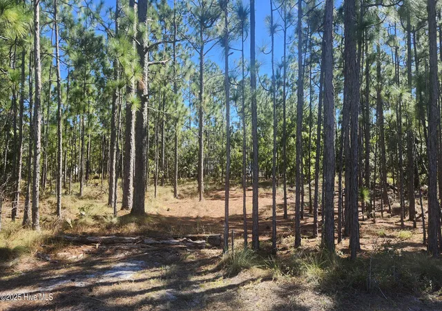 Homes for sale in Southport, NC | Lot 303 Mission Rd, Southport, NC 28461 | MLS# 100577933