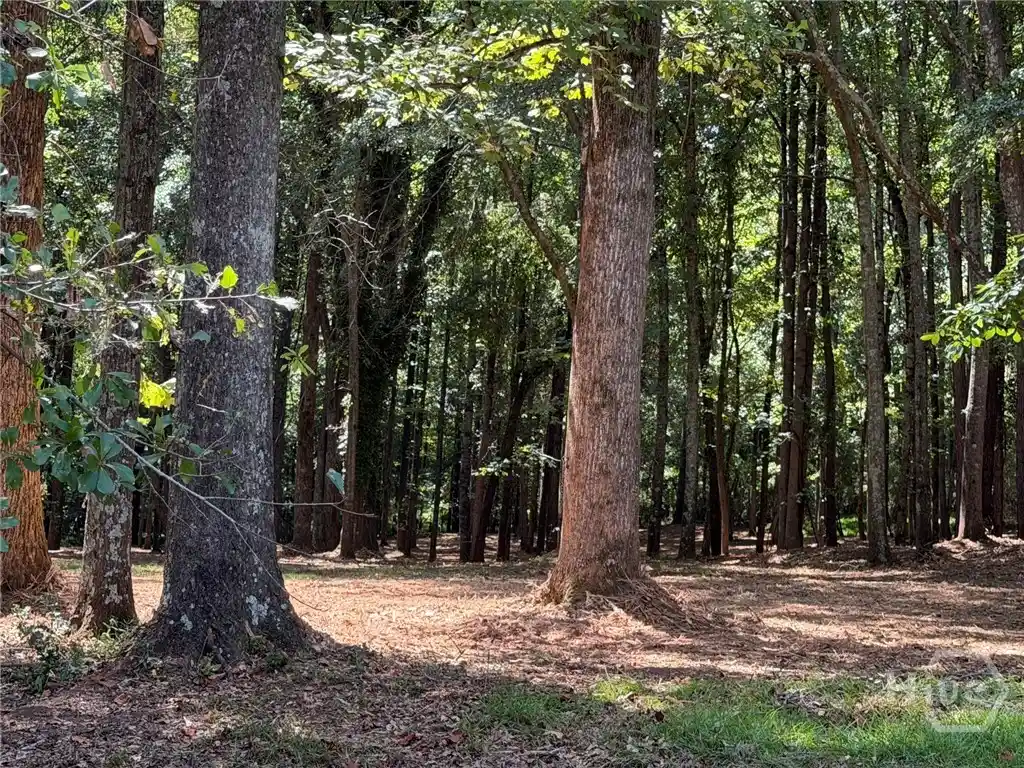 Land for sale at 1310- B Ivywood, Athens, GA 30606 | MLS# CL362957