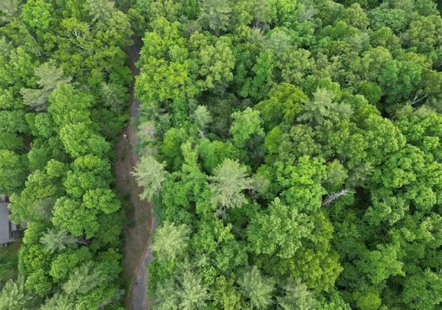Photo 4 of Land for sale at 00 Dogwood Trl, Robbinsville, NC 28771 | MLS# 98544662 | Listing updated on 2026-06-02