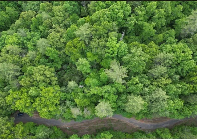 Photo 5 of Land for sale at 00 Dogwood Trl, Robbinsville, NC 28771 | MLS# 98544662 | Listing updated on 2026-06-02