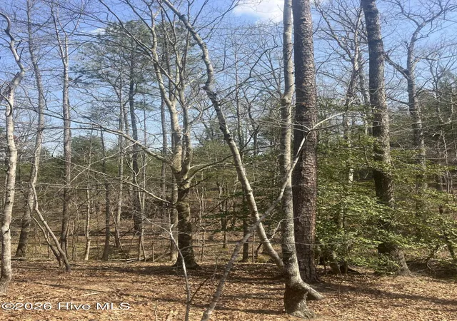 Photo 2 of Land for sale at Tbd Healing Acres Ln, Carthage, NC 28327 | MLS# 100576905 | Listing updated on 2026-08-18