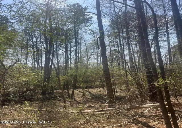 Photo 3 of Land for sale at Tbd Healing Acres Ln, Carthage, NC 28327 | MLS# 100576905 | Listing updated on 2026-08-18