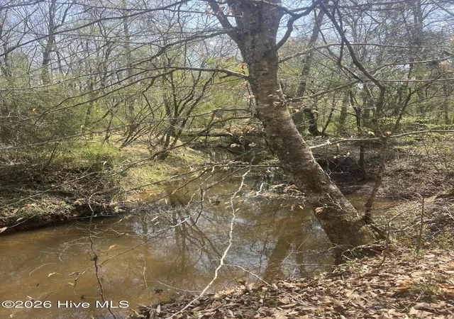Photo 4 of Land for sale at Tbd Healing Acres Ln, Carthage, NC 28327 | MLS# 100576905 | Listing updated on 2026-08-18