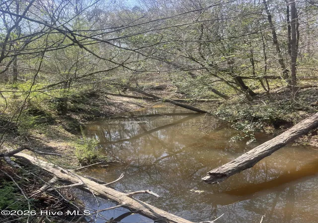 Photo 5 of Land for sale at Tbd Healing Acres Ln, Carthage, NC 28327 | MLS# 100576905 | Listing updated on 2026-08-18