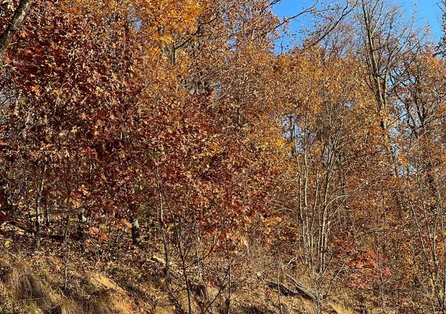 Photo 3 of Land for sale at Lot 58m Ridges, Hayesville, NC 28904 | MLS# 98524792 | Listing updated on 2026-07-21