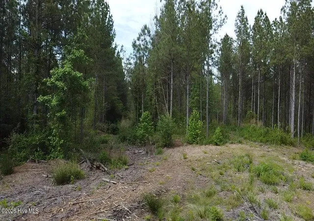 32nd image of 0 Cartledge Creek Rd, Rockingham, NC 28379 | MLS# 100573054