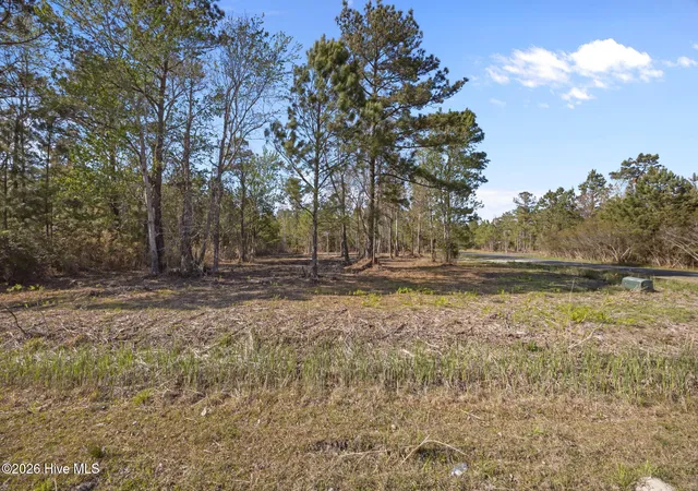 4th image of 661 Vandemere Creek Dr, Vandemere, NC 28587 | MLS# 100567388