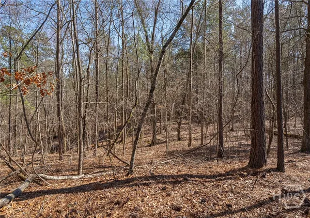 2nd image of 0 Kent Rock Rd, Loganville, GA 30052 | MLS# CL346488