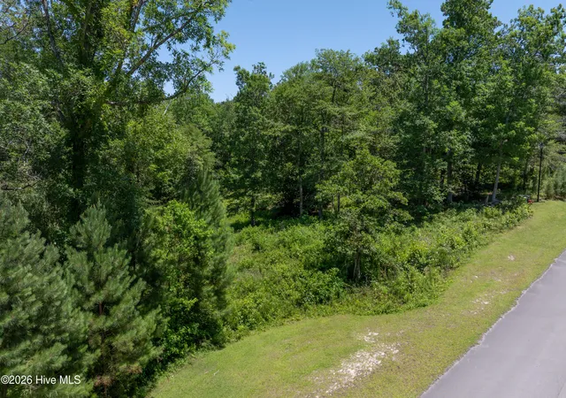 Homes for sale in Hubert, NC | Lot 10 Tree Hill Ln, Hubert, NC 28539 | MLS# 100578668