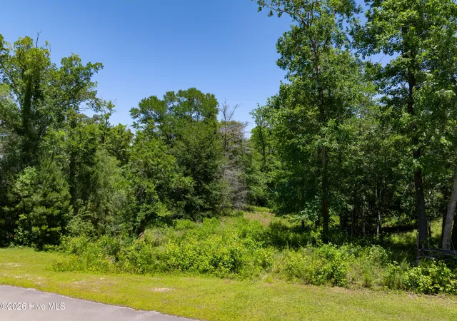 Homes for sale in Hubert, NC | Lot 10 Tree Hill Ln, Hubert, NC 28539 | MLS# 100578668