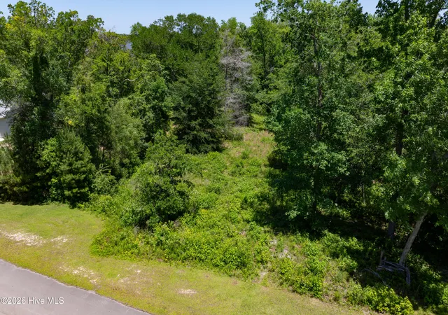 Homes for sale in Hubert, NC | Lot 10 Tree Hill Ln, Hubert, NC 28539 | MLS# 100578668