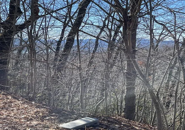 Homes for sale in Hayesville, NC | Lot 29j Ash Branch Rd,, Hayesville, NC 28904 | MLS# 98543999
