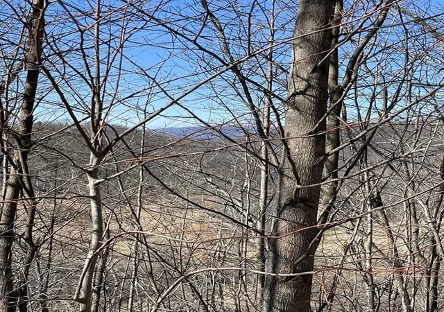 Homes for sale in Hayesville, NC | Lot 29J Ash Branch Rd,, Hayesville, NC 28904 | MLS# 98543999