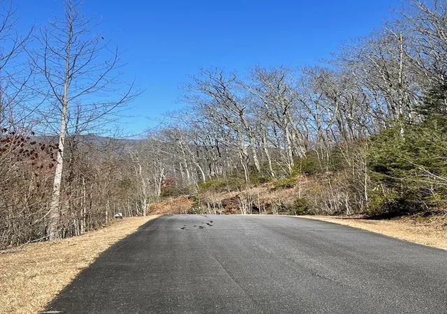 Homes for sale in Hayesville, NC | Lot 29J Ash Branch Rd,, Hayesville, NC 28904 | MLS# 98543999