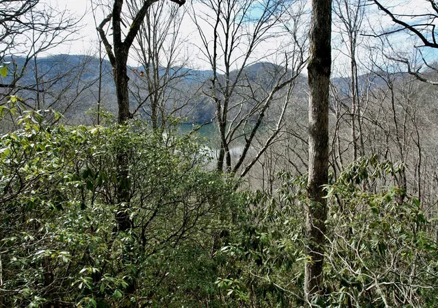 Homes for sale in Topton, NC | Lot 14 Holly Ridge Rd, Topton, NC 28781 | MLS# 98500220