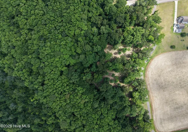 Photo 4 of Land for sale at 462 Batchelor Bay Dr, Windsor, NC 27983 | MLS# 100581886 | Listing updated on 2026-06-17