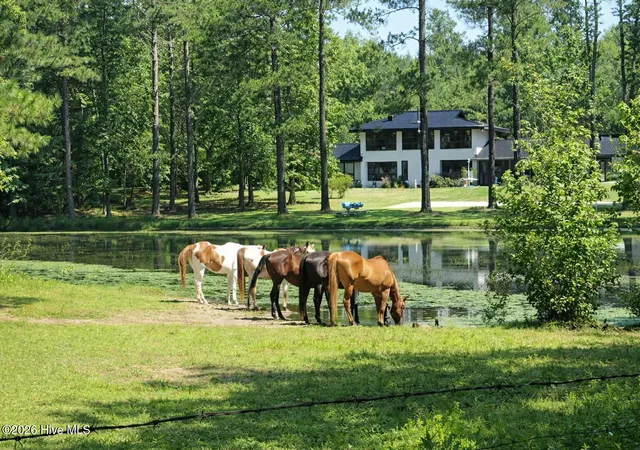 1st image of 171 Dobbins Ln, Rockingham, NC 28379 | MLS# 100569696
