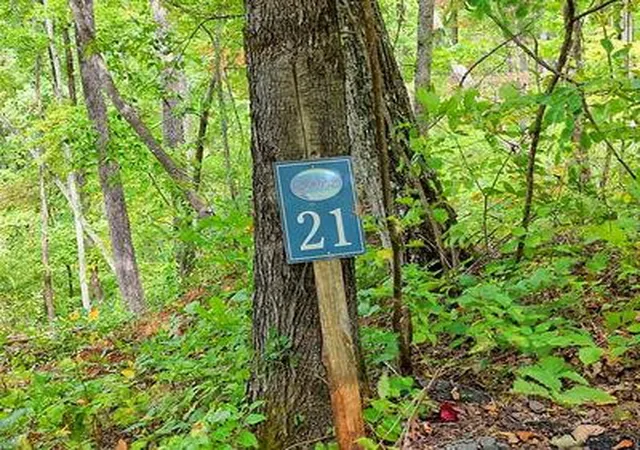 Photo 1 of Land for sale at Lot 21 Skyview, Hayesville, NC 28904 | MLS# 98543875 | Listing updated on 2026-06-02