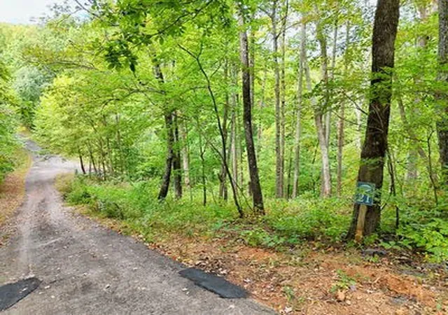 Photo 4 of Land for sale at Lot 21 Skyview, Hayesville, NC 28904 | MLS# 98543875 | Listing updated on 2026-06-02