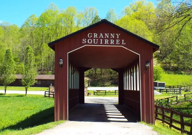 3rd image of 1621 Granny Squirrel Dr, Andrews, NC 28901 | MLS# 98542630