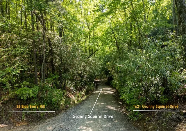 5th image of 1621 Granny Squirrel Dr, Andrews, NC 28901 | MLS# 98542630