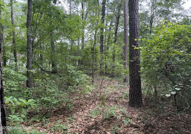 5th image of 118 Ferret Run Ln, New Bern, NC 28562 | MLS# 100577707