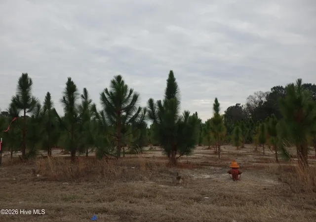 Photo 1 of Land for sale at Lot 42 Stuarts Ml Rd, Fairmont, NC 28340 | MLS# 100551228 | Listing updated on 2026-05-23