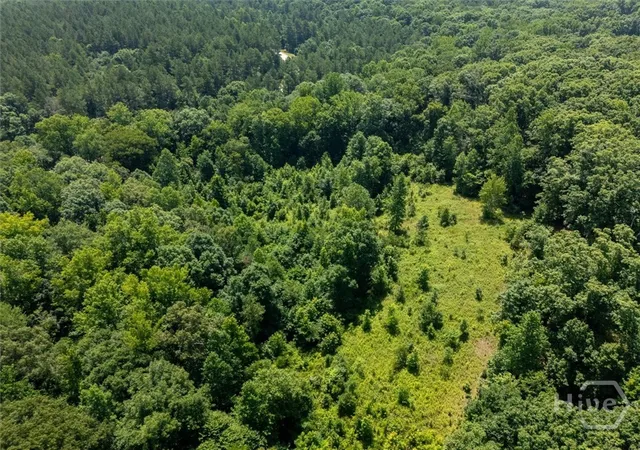 Homes for sale in Elberton, GA | 0 Hornets Bridge Rd, Elberton, GA 30635 | MLS# CL359876