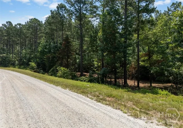 Homes for sale in Elberton, GA | 0 Hornets Bridge Rd, Elberton, GA 30635 | MLS# CL359876
