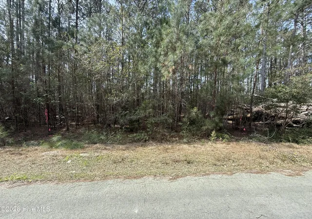 Photo 1 of Land for sale at (Undisclosed), Oriental, NC 28571 | MLS# 100561372 | Listing updated on 2026-09-03