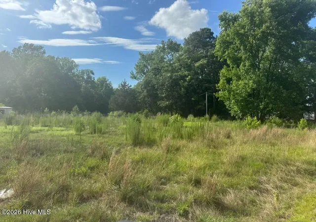 Photo 2 of Land for sale at 447 Jimmy Rd, Magnolia, NC 28453 | MLS# 100584928 | Listing updated on 2026-07-30