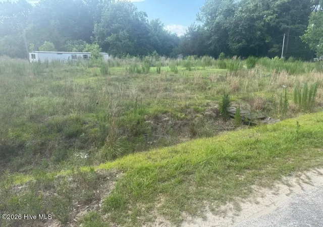 Photo 3 of Land for sale at 447 Jimmy Rd, Magnolia, NC 28453 | MLS# 100584928 | Listing updated on 2026-07-30