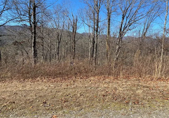 Homes for sale in Marble, NC | Lot 42 Silo Vw, Marble, NC 28905 | MLS# 98524864