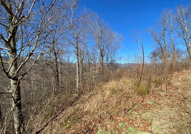Homes for sale in Marble, NC | Lot 42 Silo Vw, Marble, NC 28905 | MLS# 98524864