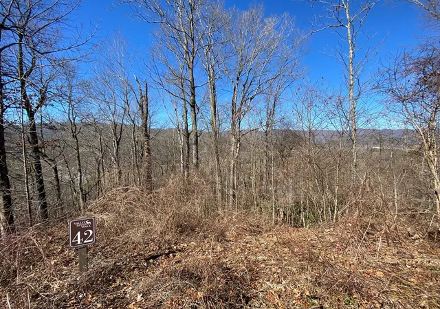 Homes for sale in Marble, NC | Lot 42 Silo Vw, Marble, NC 28905 | MLS# 98524864